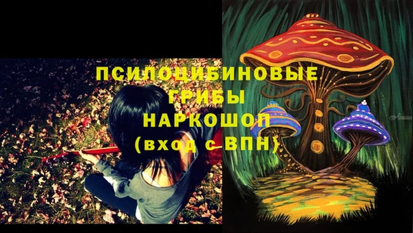 jwh Арсеньев